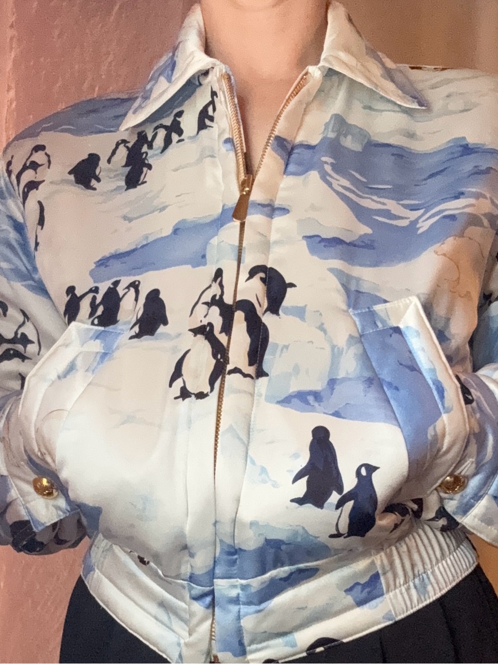 Vintage 1980’s ESCADA Global Warming Penguin Print Light Blue Bomber Jacket